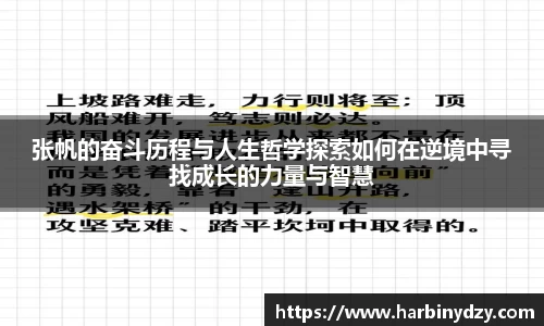 熊猫体育张帆的奋斗历程与人生哲学探索如何在逆境中寻找成长的力量与智慧
